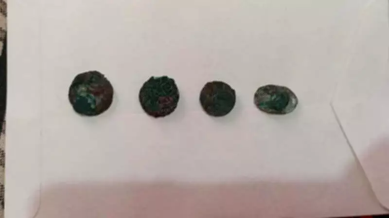 Ancient Coins and Temple Ruins Unearthed in Rajasthan's Jhunjhunu District