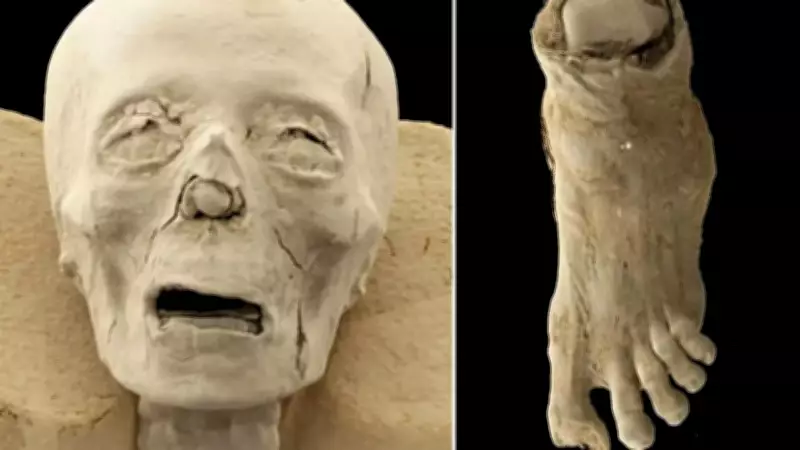 Ancient Egyptian Mummy Scans Reveal Hidden Details After 2,300 Years