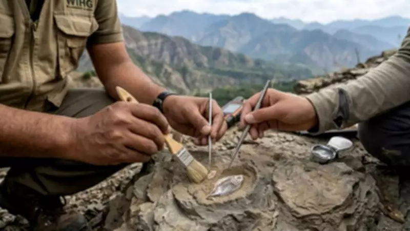 Ancient Fish Fossils in Shivaliks Reveal 4.5-Million-Year-Old Freshwater Ecosystem