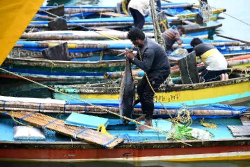 Andhra Pradesh Board Aims to Extend Benefit Sharing to Marine Resources