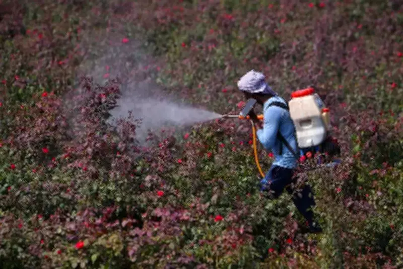 Andhra Pradesh Boosts Kharif Season Fertilizer Preparations with Strict Monitoring
