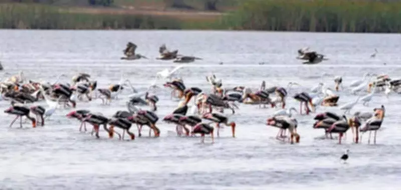 Andhra Pradesh Touted as Premier Tourism Hub in NITI Aayog's 'Divya Bharat' Report