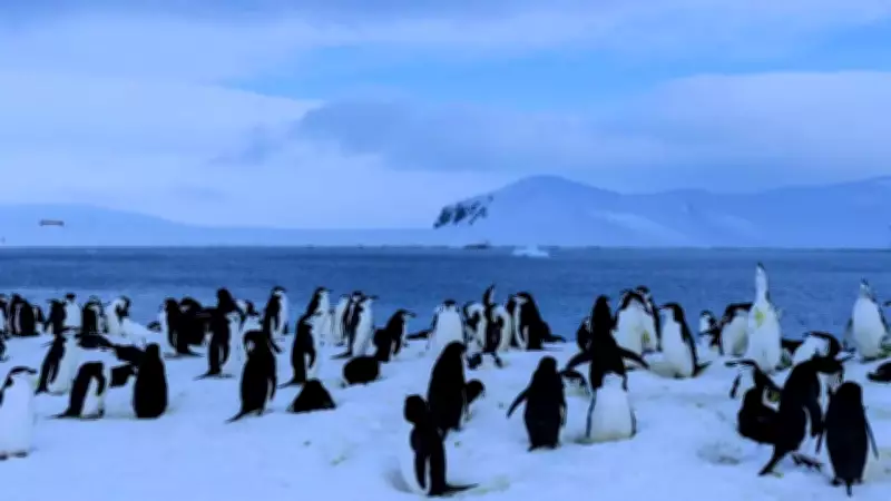 Antarctica: The Only Continent Without Permanent Human Residents