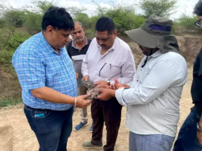 Archaeologists Unearth 1,000-Year-Old Temple in Rajasthan's Jhunjhunu District