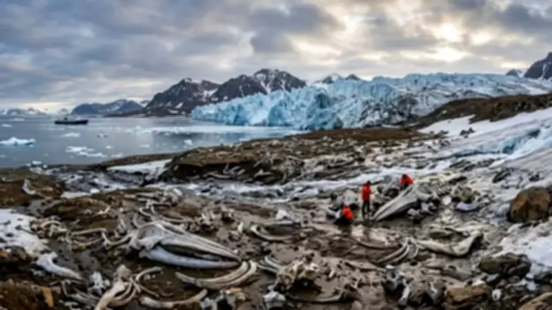 Arctic Glacier Retreat Exposes Ancient Whale Graveyard on Remote Russian Island