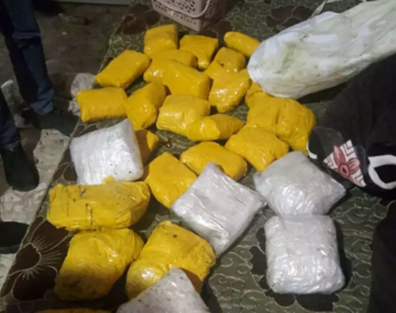 Arrest Made with 5.6 kg Cannabis in Shimla District