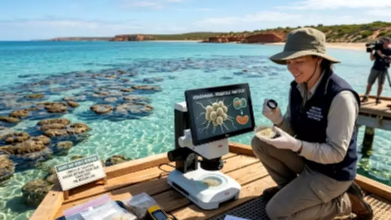 Asgard Archaea in Shark Bay: The 'Living Fossil' Linking Microbes to Human Evolution