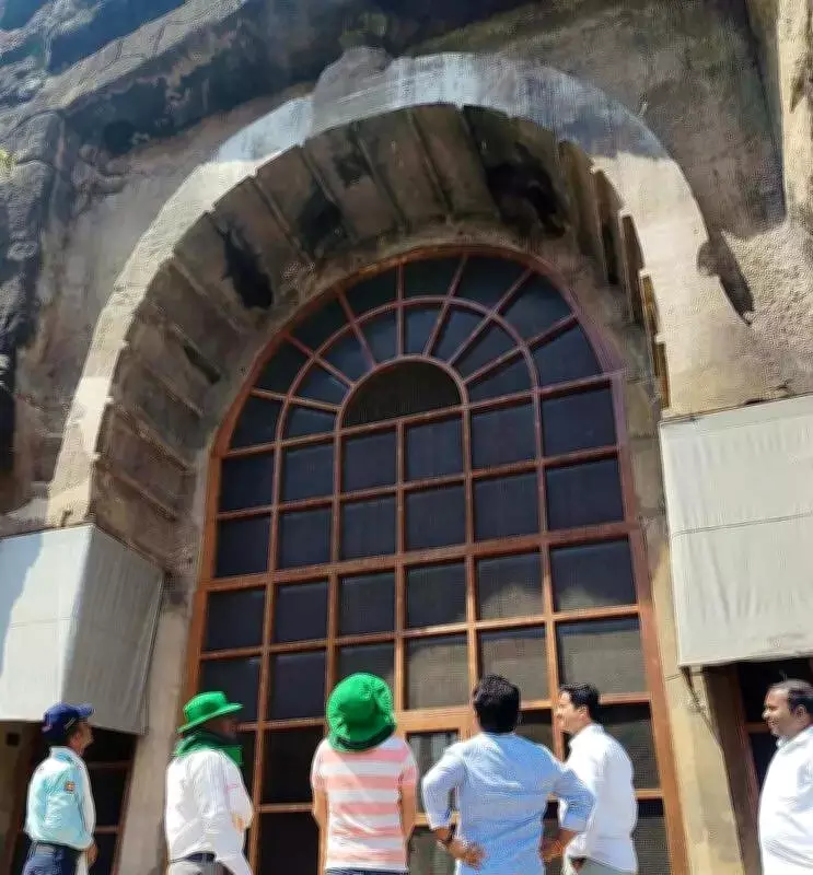 ASI and Forest Department Safely Relocate Bees from Ajanta Caves After Tourist Attacks