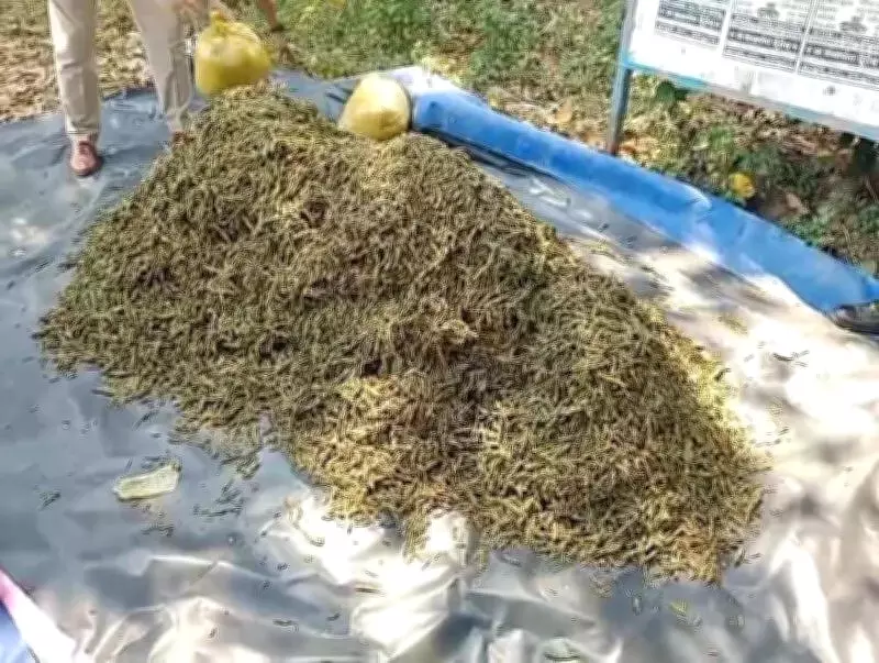 ASR Police Seize 750 kg Cannabis Worth Rs 37 Lakh in Visakhapatnam Raid