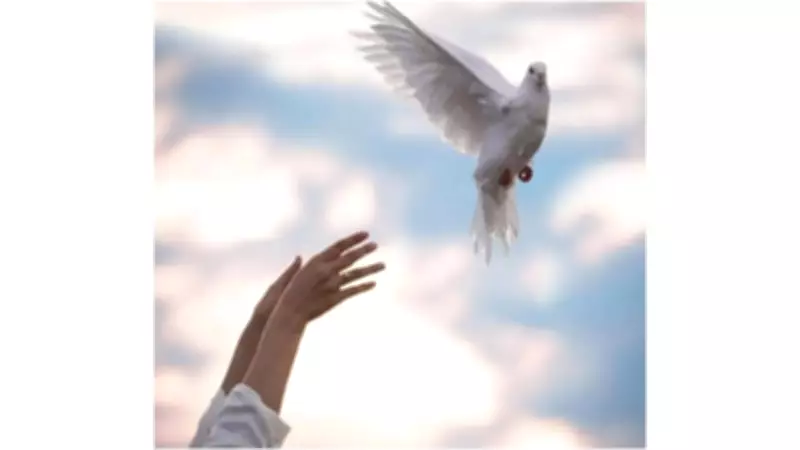 Awarapan 2: Emraan Hashmi Returns as Shivam in Independence Day 2026 Release