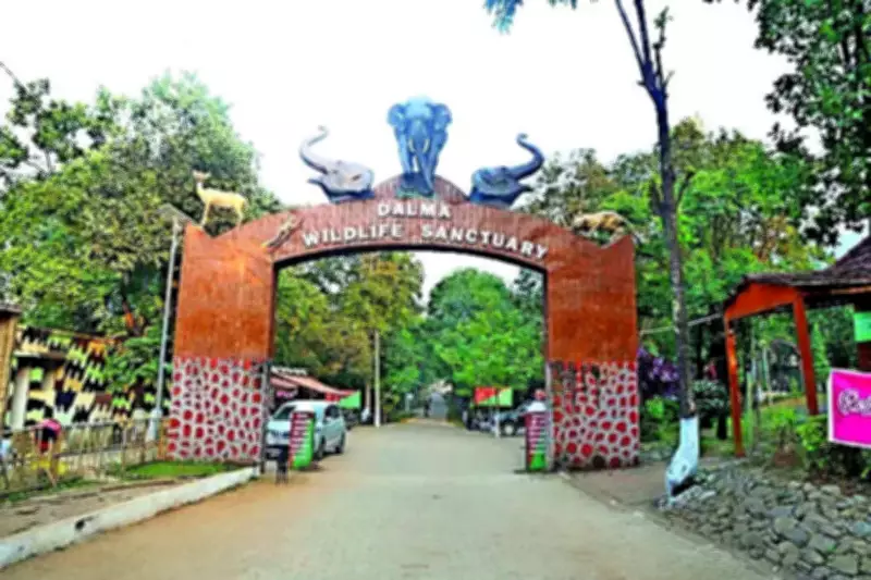 Awareness drive reduces turnout, hunting at Dalma sanctuary festival
