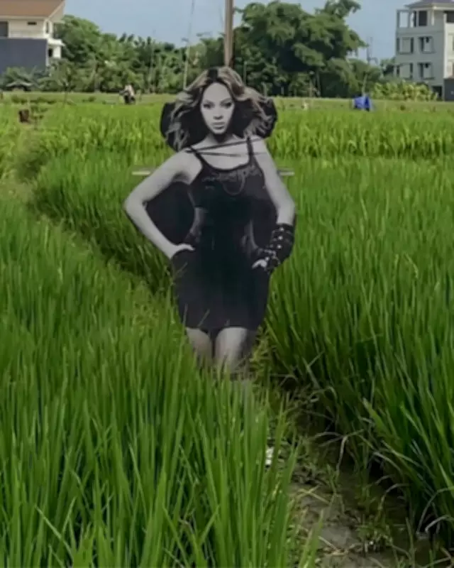 Bali Farmers Hire Beyoncé as Scarecrow: Viral Video Shows Pop Icon Guarding Crops