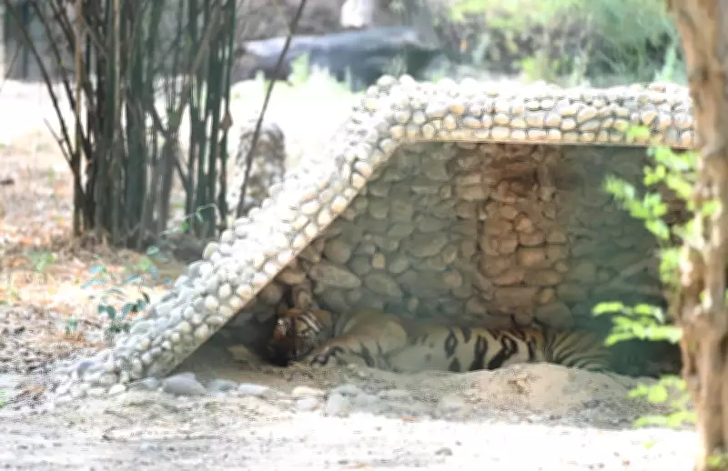 Banda Remains Hottest in India as UP Temperatures Drop Slightly