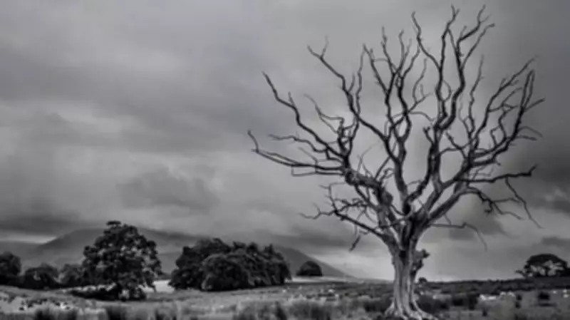 Bangladesh Hindu man's body found hanging from tree; minority group demands action