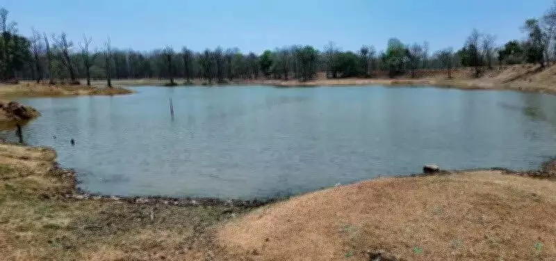 Barnawapara Sanctuary Uses Data-Driven Water System for Wildlife