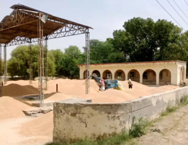Bathinda Farmers Use Cremation Ground as Grain Yard Amid Mandi Overflow