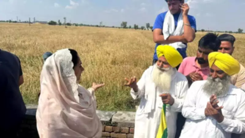 Bathinda MP Demands Immediate Rs 50,000/Acre Aid for Hailstorm-Hit Malwa Farmers