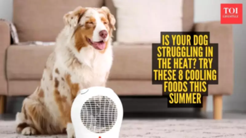 Beat the Summer Heat: 8 Cooling Foods for Your Dog's Diet