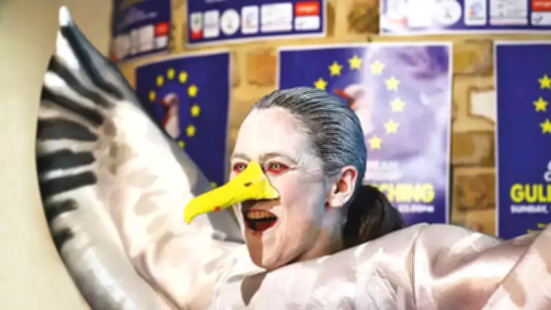 Belgium Hosts European Seagull Screeching Championship with 70 Participants