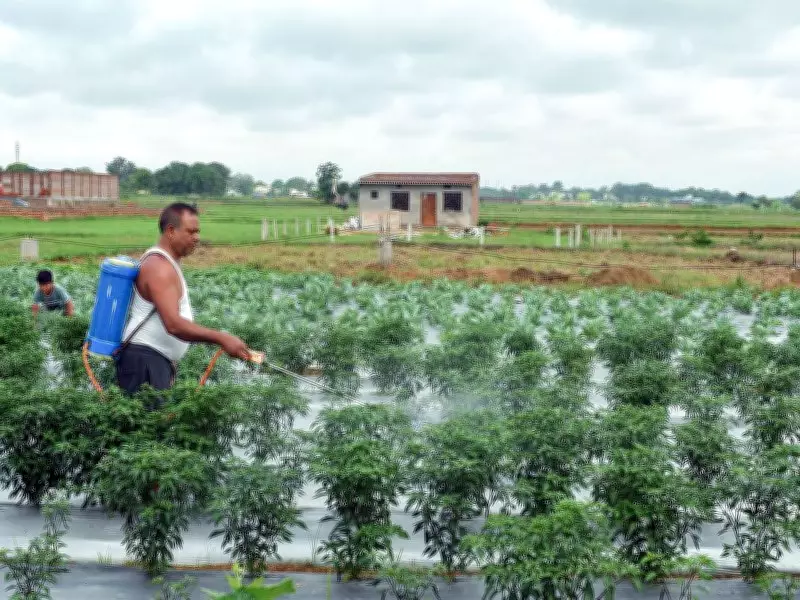 Below-Normal Monsoon and West Asia Conflict Cloud India's Agriculture Outlook