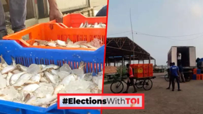 Bengal's Fishing Crisis Deepens: Catches Plummet, Livelihoods at Stake