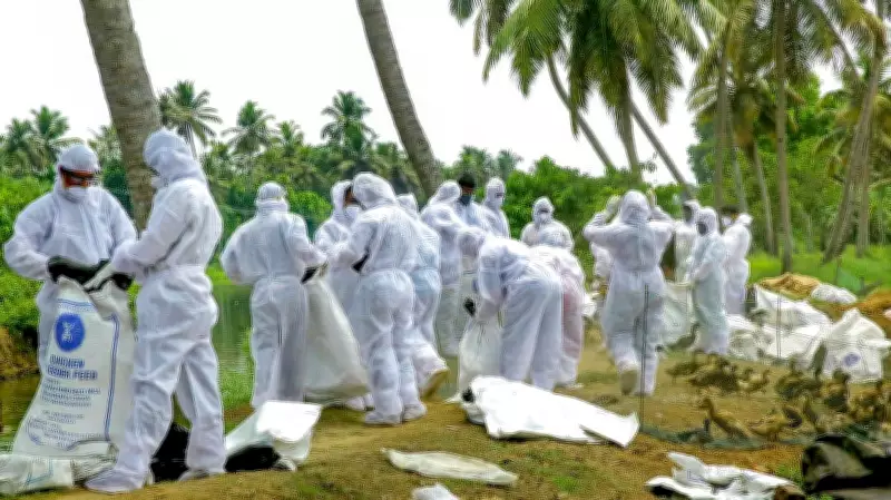 Bengaluru H5N1 Surveillance Ends, No Human Cases Found