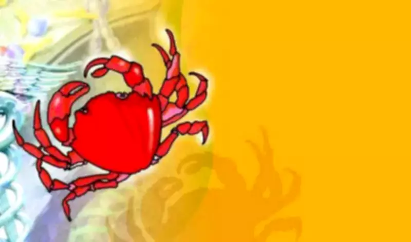 Bengaluru Hospitals Shift 80% of Chemotherapy to Daycare Centers Amid Rising Cancer Cases