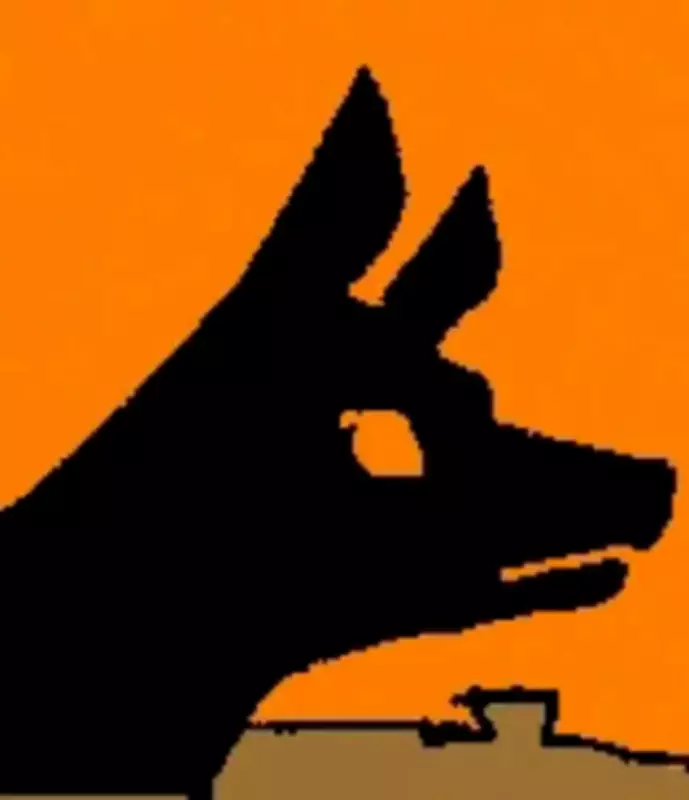 Bengaluru Police Constable Seriously Injured in Unprovoked Rottweiler Attack