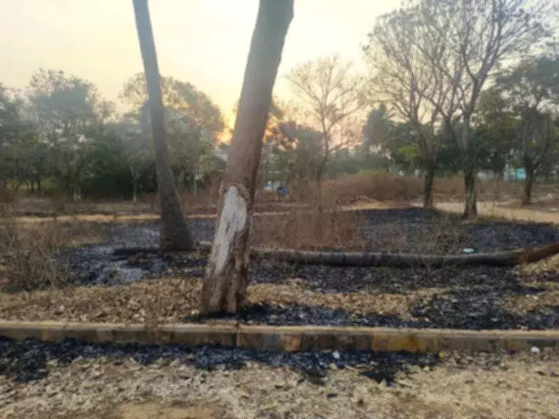 Bengaluru Residents Fight Air Pollution from Waste Burning in Kambipura and Rampura