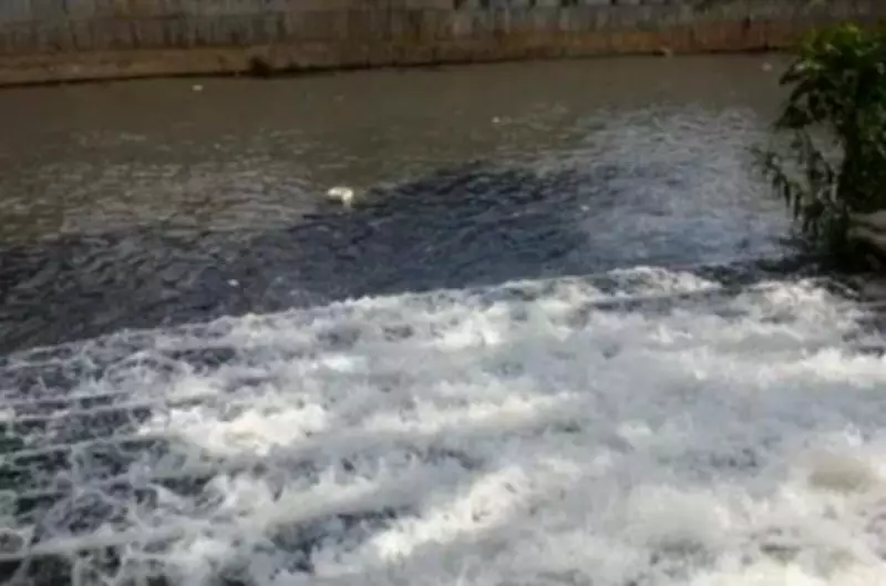 Bengaluru to Monetize 200 Tonnes of Daily Sludge for Biogas Production in PPP Model