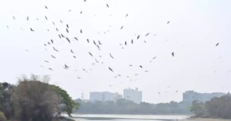 Bengaluru's Lakes: 95% Sewage, 5% Rainwater, Study Reveals Alarming Pollution