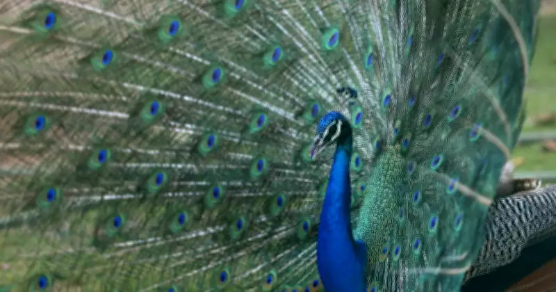 Best Photos from Around the World: April 28, 2026