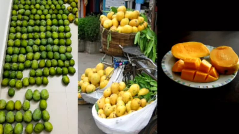 Beyond Alphonso: Exploring Unique Indian Mango Varieties