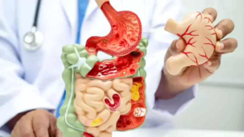 Beyond Everyday Aches: How Your Gut Could Be the Hidden Source of Autoimmune Issues