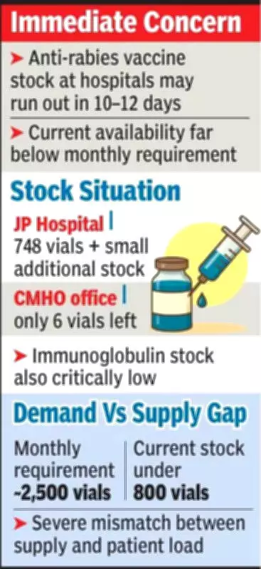 Bhopal Faces Critical Anti-Rabies Vaccine Shortage at JP Hospital
