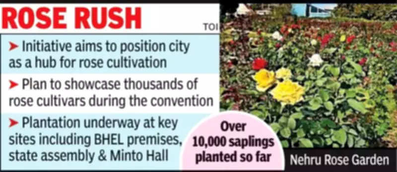Bhopal's Massive Rose Cultivation Drive Aims to Transform City into 'City of Roses'