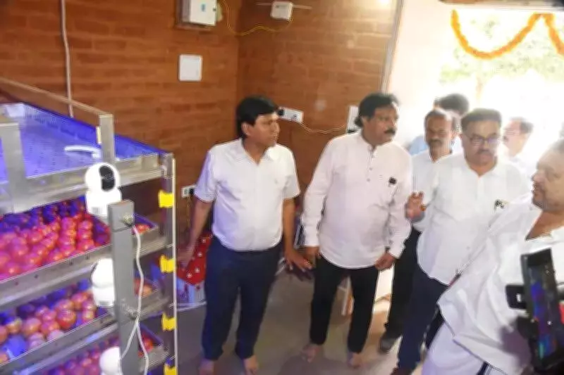 BIET Develops Chemical-Free Smart Tomato Preservation System