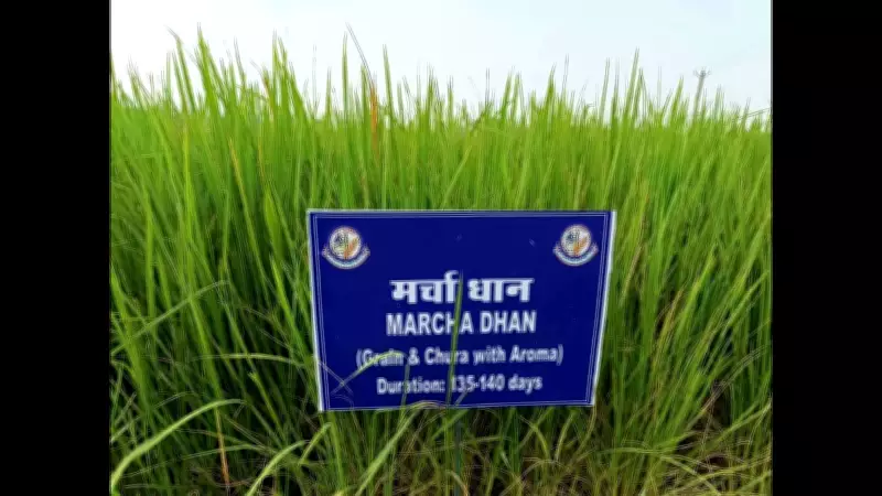 Bihar Accelerates GI Tag Drive to Protect Cultural & Agricultural Heritage