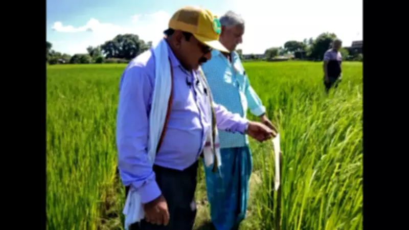 Bihar Farmer Vijay Giri Creates Seed Bank to Preserve Ancient Medicinal Crops
