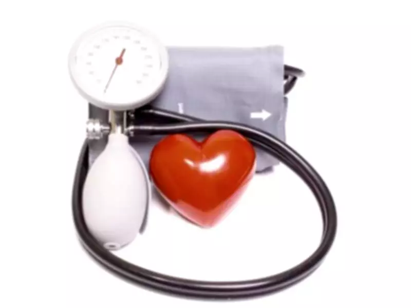 Bihar Workshop Highlights Key Steps to Reduce Maternal Mortality in High-Risk Pregnancies