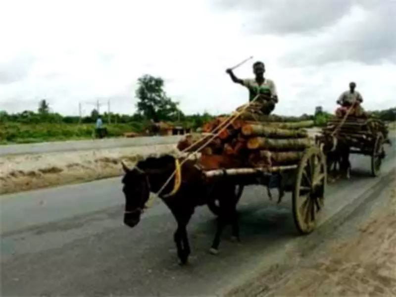 Bihar's Seemanchal Region Gets 6,350km Rural Roads Under Mukhyamantri Gram Sampark Yojana