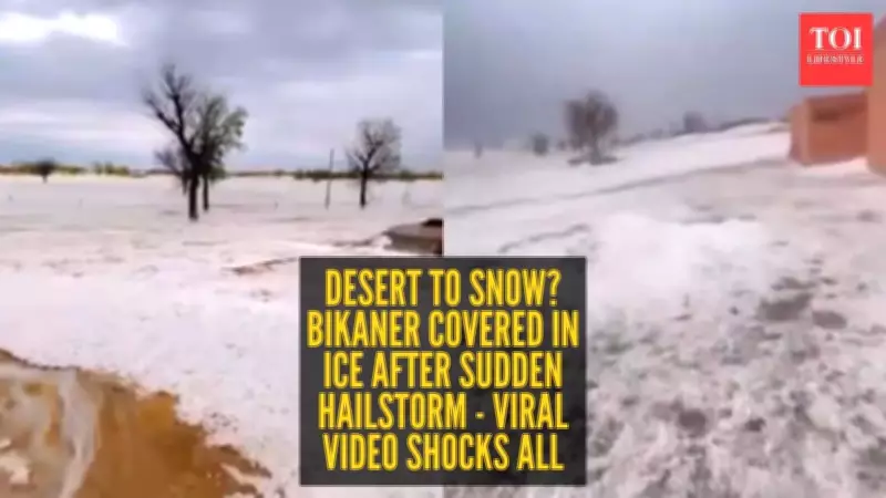 Bikaner Desert Transformed by Sudden Hailstorm, Creating Snow-Like Scenes