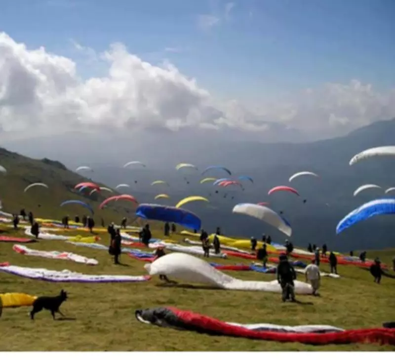 Bir Billing Sees Surge with 300 Paragliding Flights in a Day