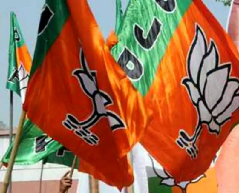 BJP Nominees Open Offices, Begin Campaign in Sonepat
