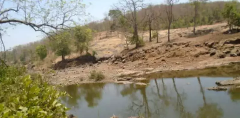 BMC Advances Gargai Dam Project with International Consultant Interest