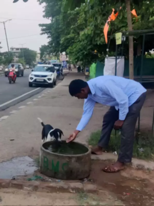 BMC deploys water tankers for stray animals amid heatwave