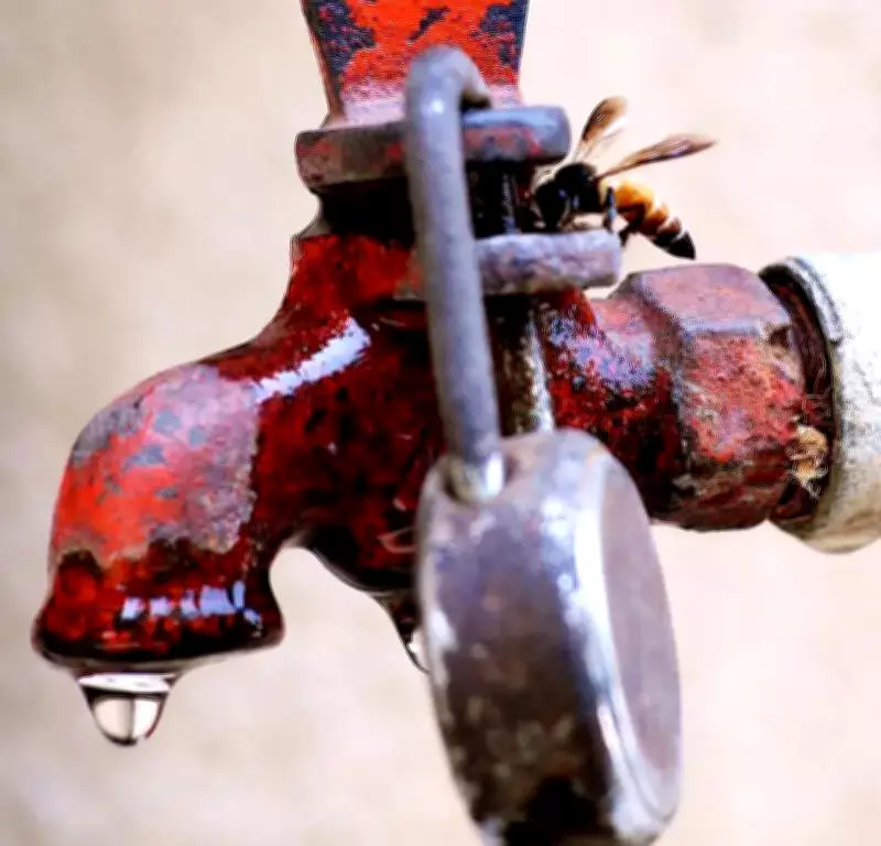 BMC May Impose Water Cut in Mumbai Amid Below-Normal Monsoon Forecast