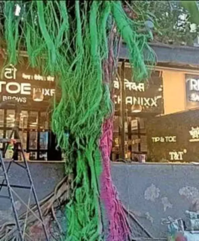 BMC Seeks Police Action Against Bandra Salon for Painting Banyan Tree