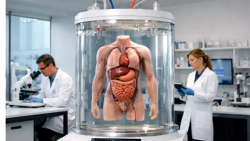 Bodyoids: The Brainless Human-Like Systems Set to Revolutionize Medicine