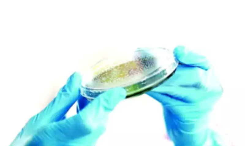 Bokaro Administration Intensifies TB Fight with Screening and Nutrition Support